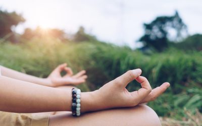 L’Art de la Sérénité : Techniques de Méditation Ancestrales pour le Monde Moderne